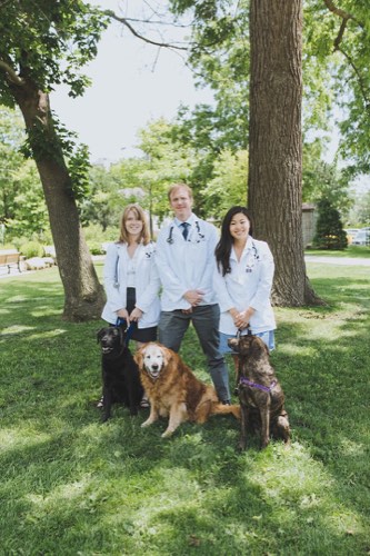 Oakville Animal Clinic — veterinary care in Oakville (photo 3)
