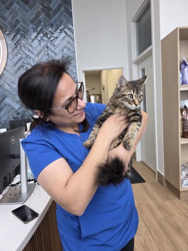Creekview Animal Hospital — veterinary care in Oakville (photo 3)