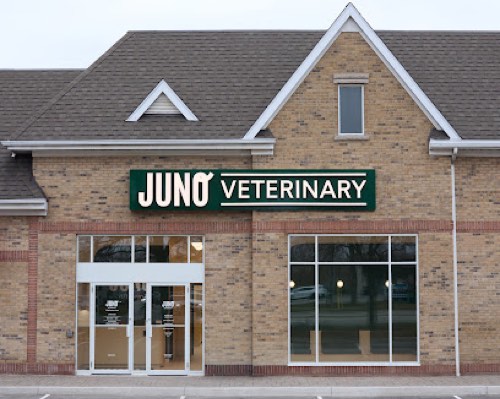 Juno Veterinary Burlington — veterinary care in Burlington