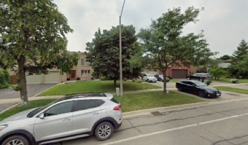 Bark and Mew Crew — dog walking & pet sitting in Oakville