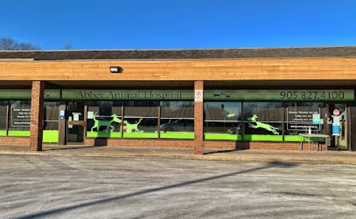 Abbey Animal Hospital — veterinary care in Oakville