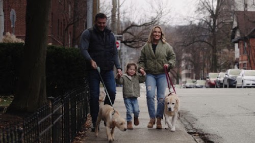 Novel Vet — veterinary care in Burlington