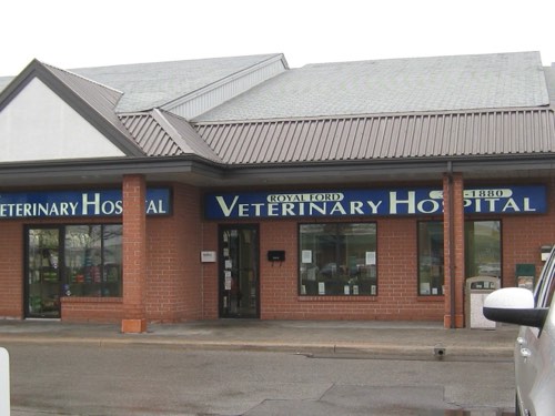 Royal Ford Veterinary Hospital — veterinary care in Oakville (photo 2)