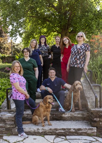 Royal Ford Veterinary Hospital — veterinary care in Oakville