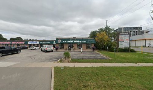 Mainview Animal Hospital — veterinary care in Milton