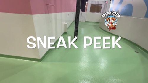 Pawz Up Play Ltd — pet daycare & boarding in Burlington (photo 2)
