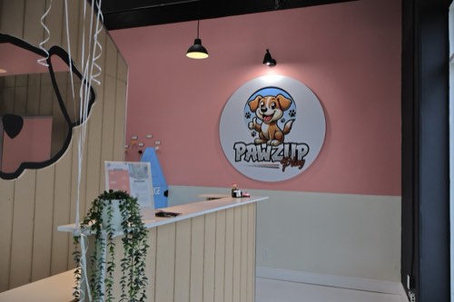 Pawz Up Play Ltd — pet daycare & boarding in Burlington (photo 3)