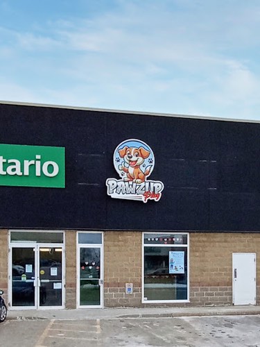 Pawz Up Play Ltd — pet daycare & boarding in Burlington