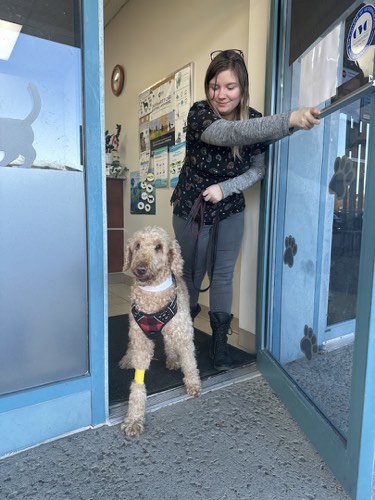 Upper Middle Road Animal Hospital — veterinary care in Burlington (photo 3)