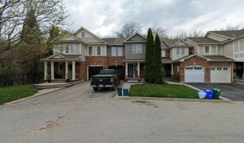 Bark & Mew Crew — dog walking & pet sitting in Burlington