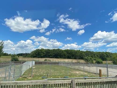 Bronte Pet Resort — pet daycare & boarding in Oakville (photo 3)