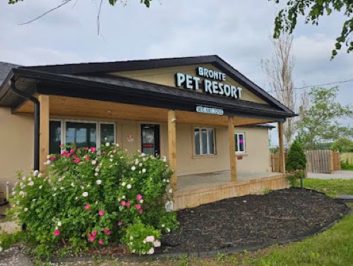 Bronte Pet Resort — pet daycare & boarding in Oakville