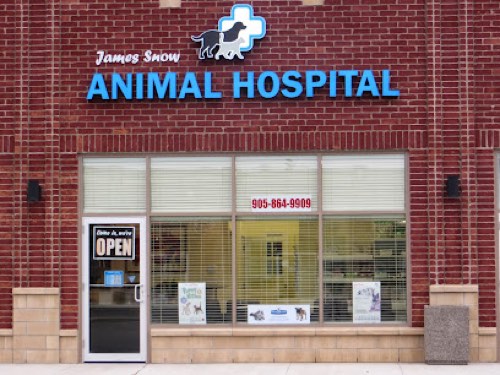 James Snow Animal Hospital — veterinary care in Milton
