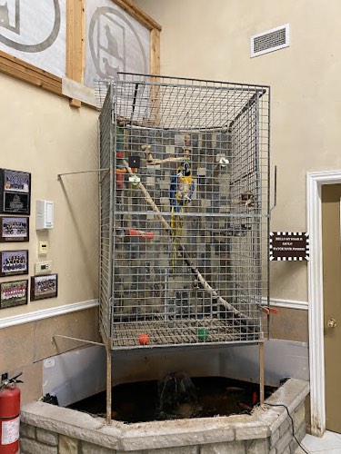 Club Bekkers kennels — pet grooming in Oakville