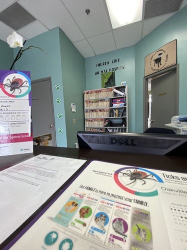 Fourth Line Animal Hospital — veterinary care in Oakville (photo 2)