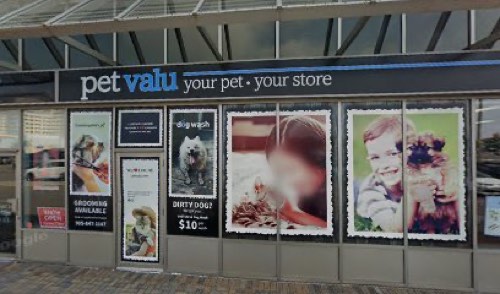 Grommimgdale's Pet Gromming — pet grooming in Oakville