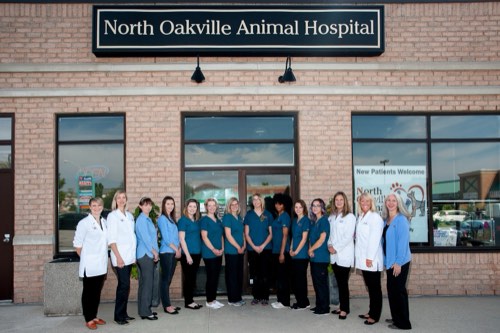 North Oakville Animal Hospital — veterinary care in Oakville (photo 2)