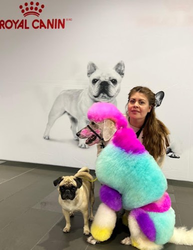 Linyo Pets — pet grooming in Oakville