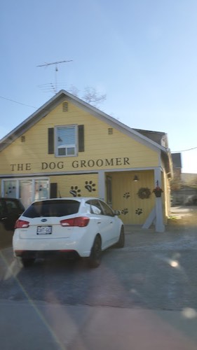 The Dog Groomer — pet grooming in Campbellville