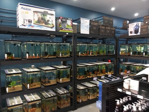 Forge's Fish — pet store in Oakville (photo 2)