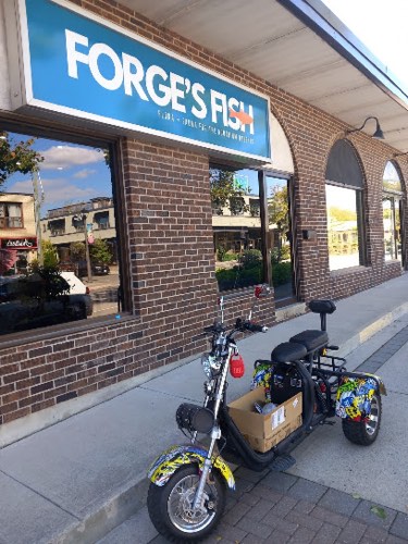 Forge's Fish — pet store in Oakville