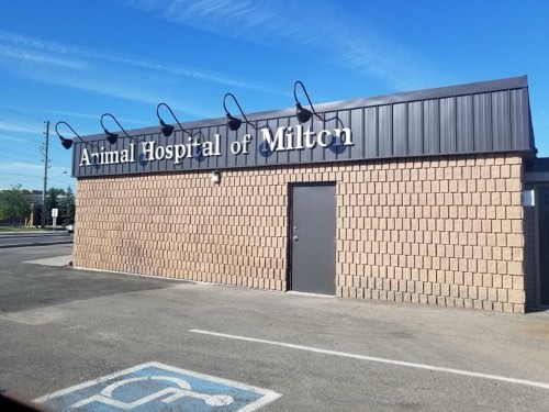 Animal Hospital Of Milton — veterinary care in Milton (photo 3)
