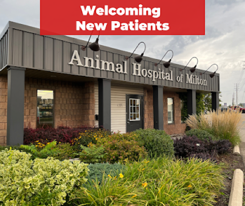 Animal Hospital Of Milton — veterinary care in Milton