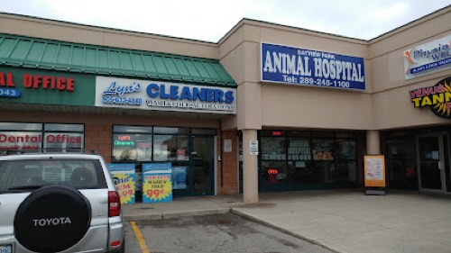 Bayview Park Animal Hospital — veterinary care in Burlington