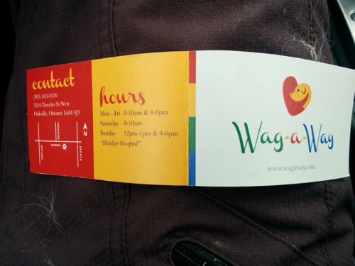 Wag-A-Way — pet daycare & boarding in Oakville (photo 2)