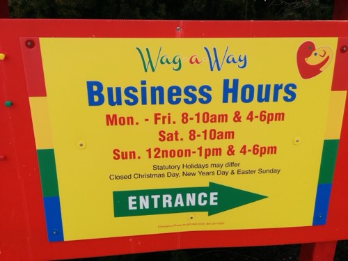 Wag-A-Way — pet daycare & boarding in Oakville (photo 3)