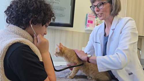 Southeast Oakville Veterinary Hospital — veterinary care in Oakville (photo 2)