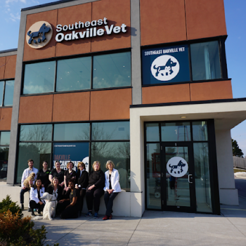 Southeast Oakville Veterinary Hospital — veterinary care in Oakville