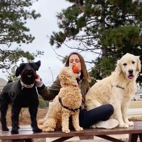 SNOUTS HONOUR — dog walking & pet sitting in Oakville (photo 3)