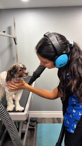 Floofy Grooms — pet grooming in Burlington (photo 2)