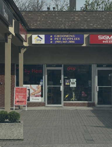 PAMPERED PAWS SPA — pet grooming in Oakville (photo 3)