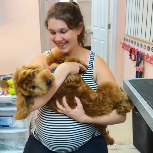 Bubble Be Be Pet Grooming Spa — pet grooming in Oakville (photo 2)