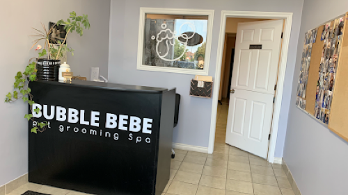 Bubble Be Be Pet Grooming Spa — pet grooming in Oakville