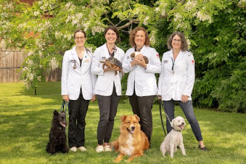 Burloak Animal Hospital — veterinary care in Oakville