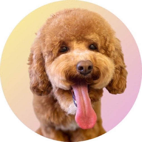 Sitting Pretty Pet Grooming — pet grooming in Burlington