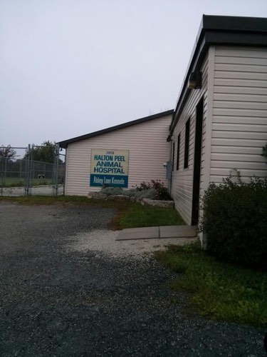 Halton Peel Animal Hospital — veterinary care in Milton (photo 2)