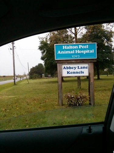 Halton Peel Animal Hospital — veterinary care in Milton (photo 3)