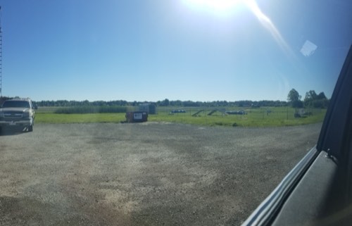 Abbey Lane Kennels — pet daycare & boarding in Milton (photo 2)