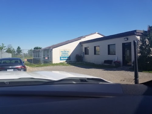 Abbey Lane Kennels — pet daycare & boarding in Milton