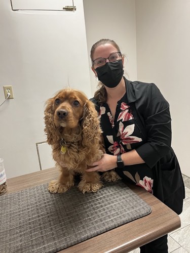 Brant Animal Clinic — veterinary care in Burlington (photo 3)