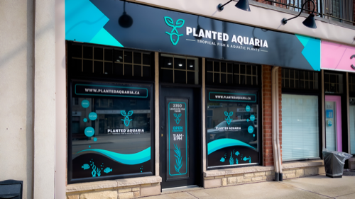 Planted Aquaria — pet store in Oakville (photo 3)