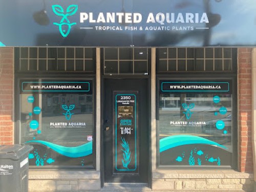 Planted Aquaria — pet store in Oakville