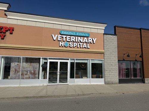 Brant Paws Veterinary Hospital — veterinary care in Burlington (photo 2)