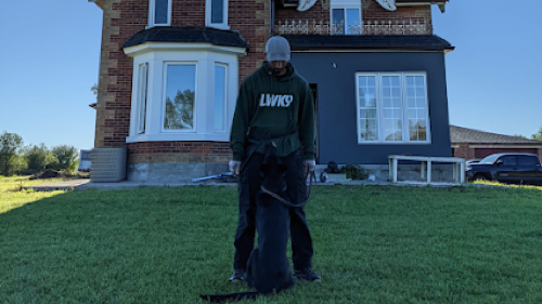 Lone Wolf K9 — dog training in Halton Hills