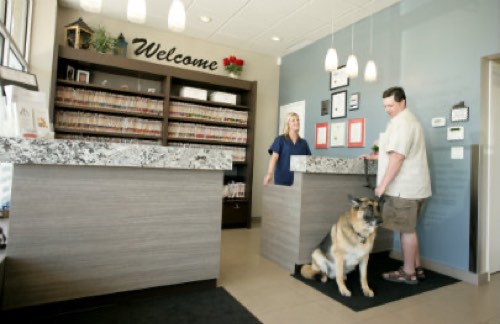 Mountainview Animal Hospital — veterinary care in Georgetown (photo 3)