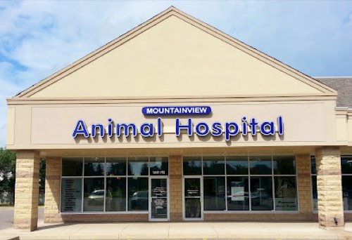 Mountainview Animal Hospital — veterinary care in Georgetown